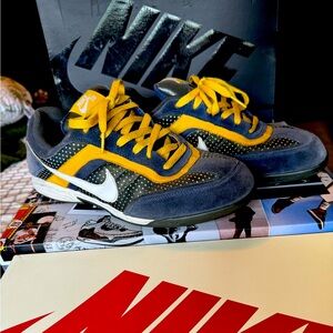 Nike sb zoom air Abington